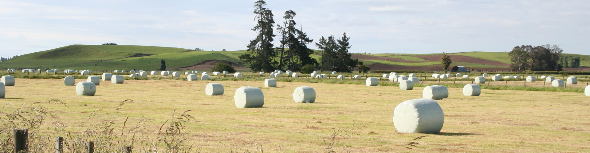 The 5 star wrapping film for silage bales